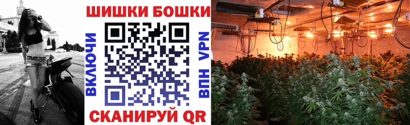 Купить Галлюциногенные грибы  Бошки Шишки  Alpha-PVP  ТГК  Гашиш  Меф мяу мяу  Петропавловск-Камчатский