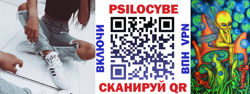 Купить закладки  Петропавловск-Камчатский  Псилоцибиновые грибы Magic Shrooms 
